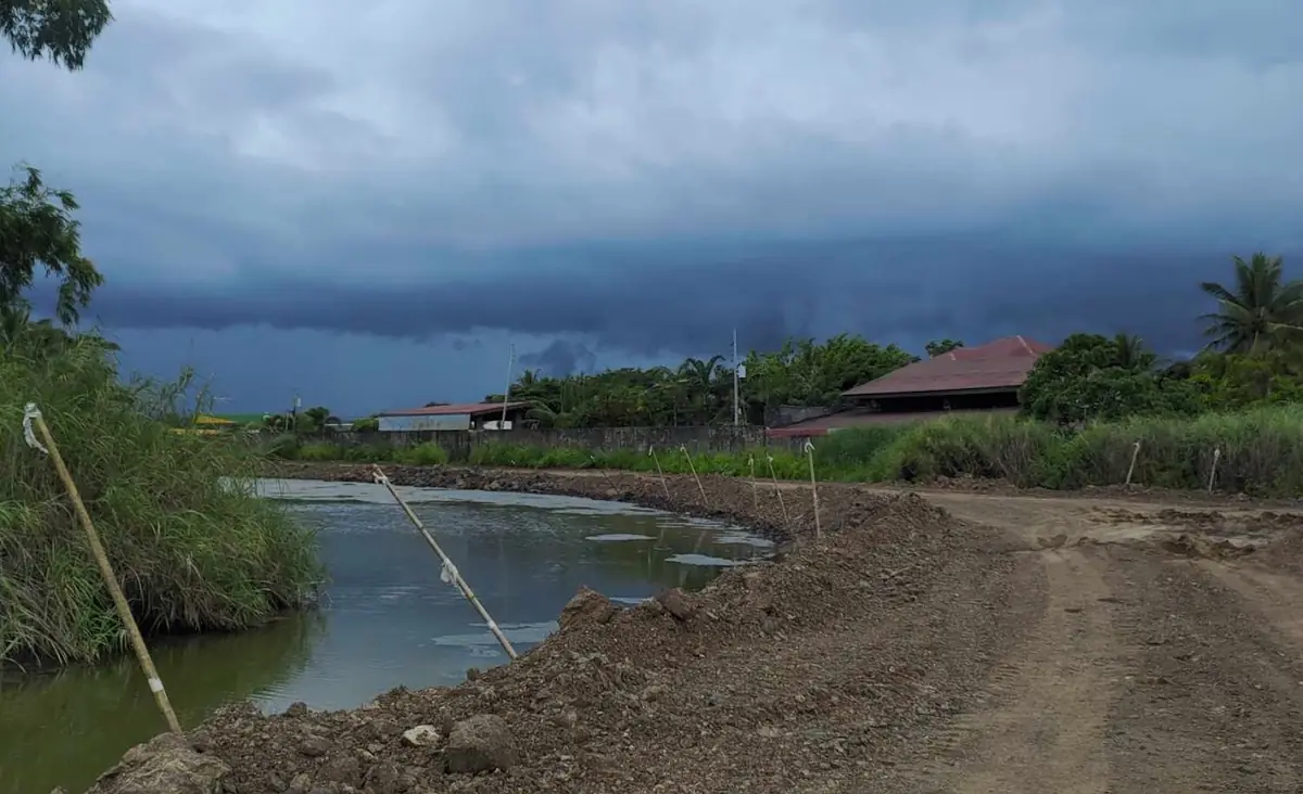 Development site with a dirt access road, excavated waterway, staked markers, and trees under a dark sky
