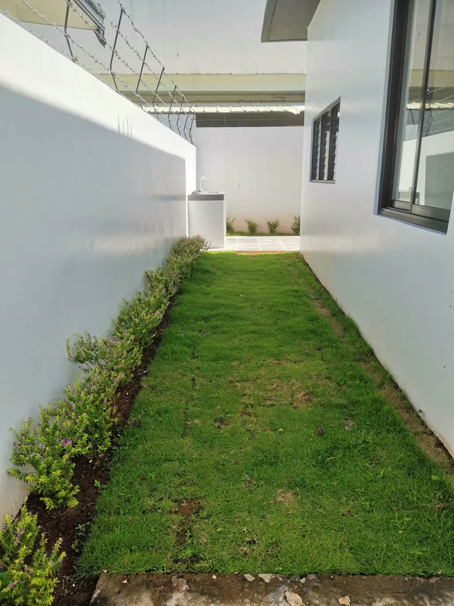 Narrow side yard with a grass strip, shrub border along white walls, and an outdoor sink beyond