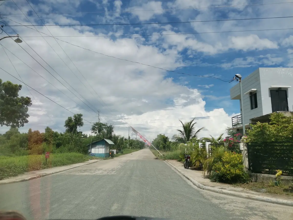 Paved road through a subdivision, small blue roadside hut on the left, white house and palms on the right