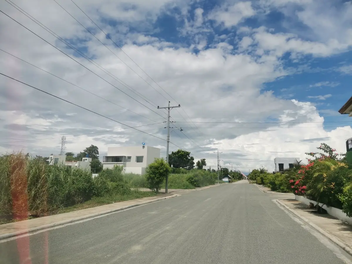 Wide asphalt road under power lines, white boxy houses set back behind grass and flowering shrubs