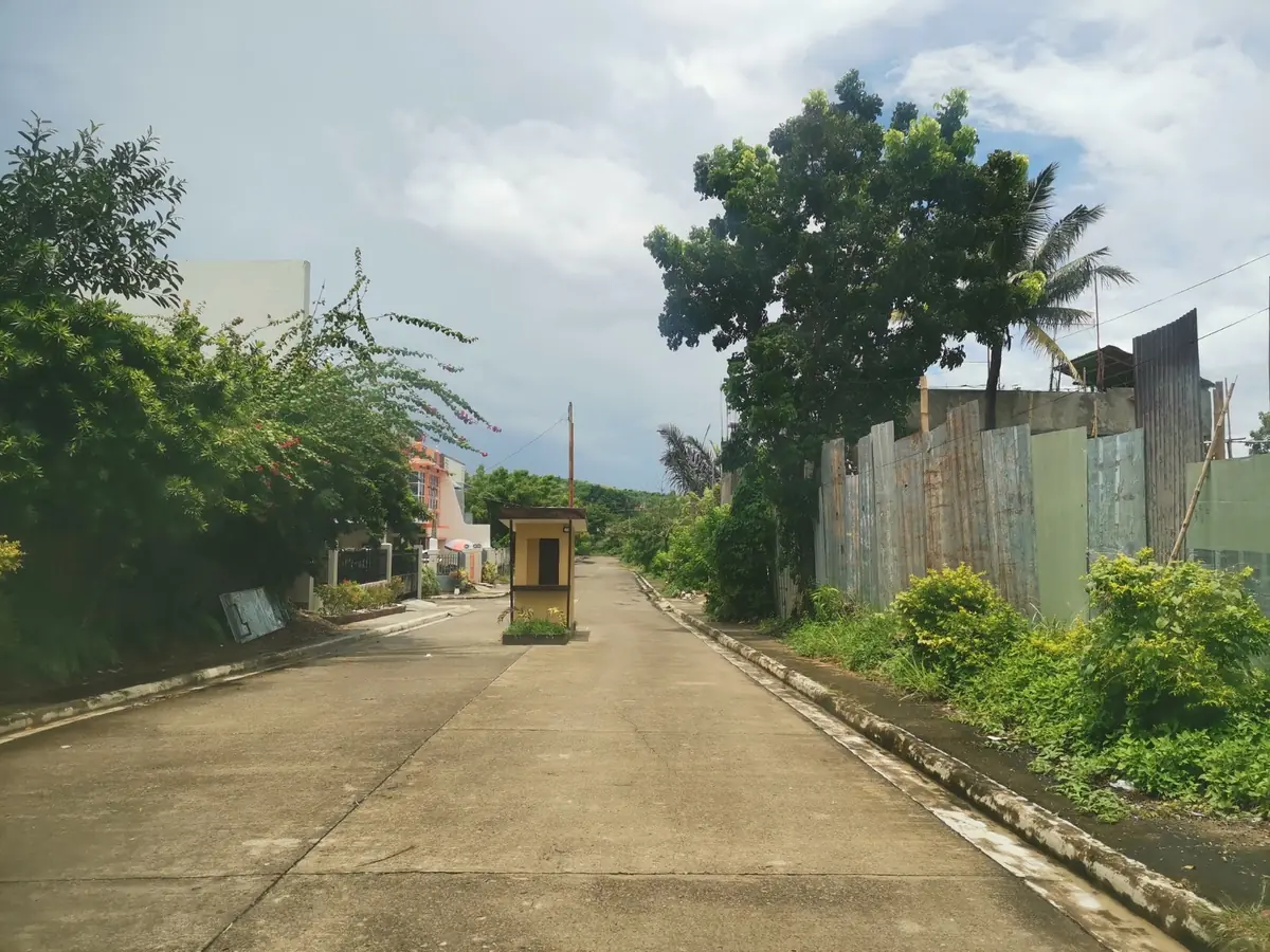 Concrete road with a small yellow guardhouse in the middle, trees and a metal fence on the right