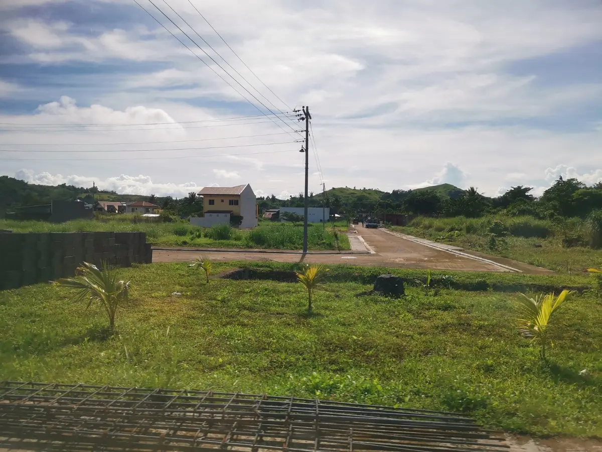 Grassy lots with young coconut seedlings, a yellow two storey house and green hills behind